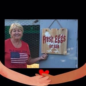 Meet your Posher, Gail